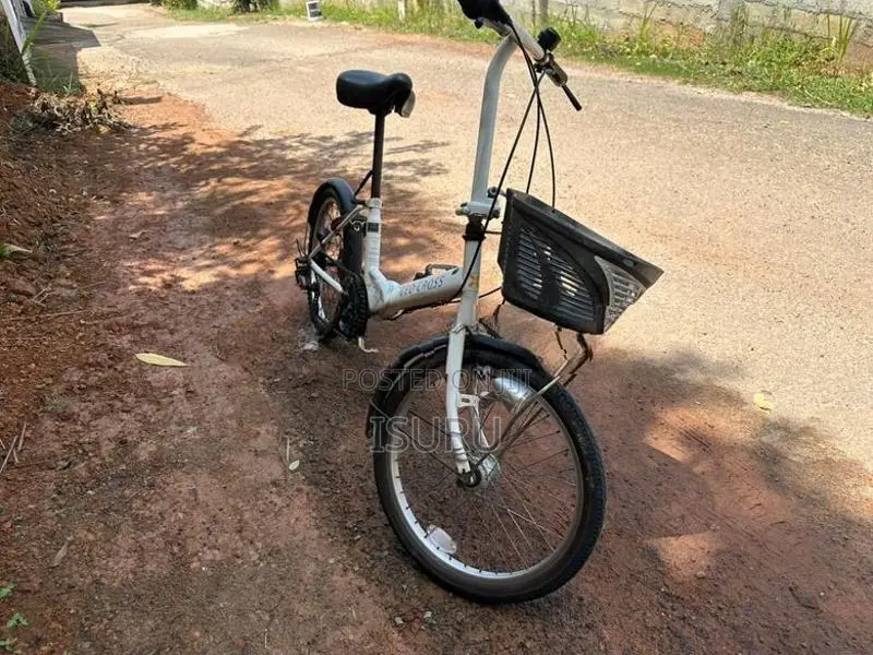 Japan cycle