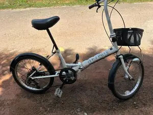 Japan cycle