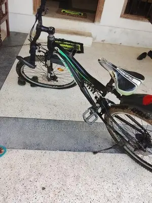 Mountain Bicycle