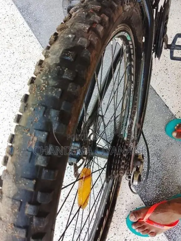Mountain Bicycle