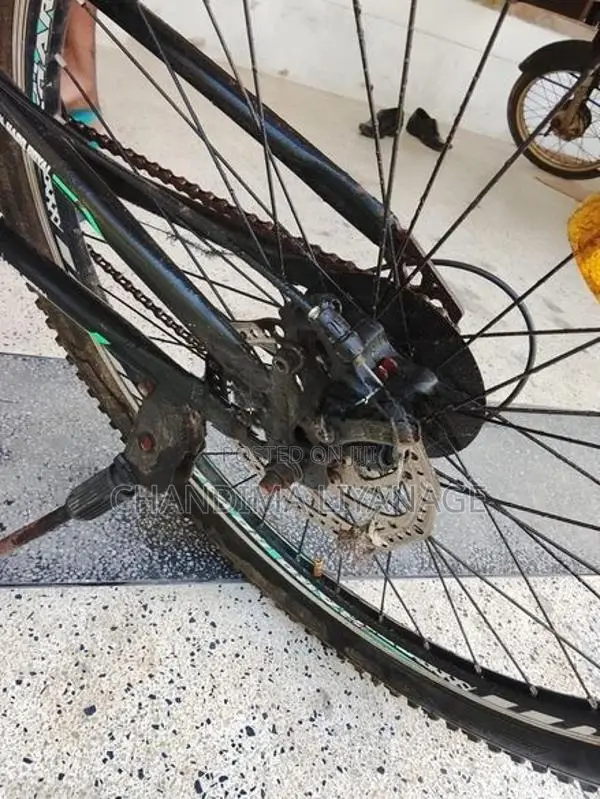 Mountain Bicycle