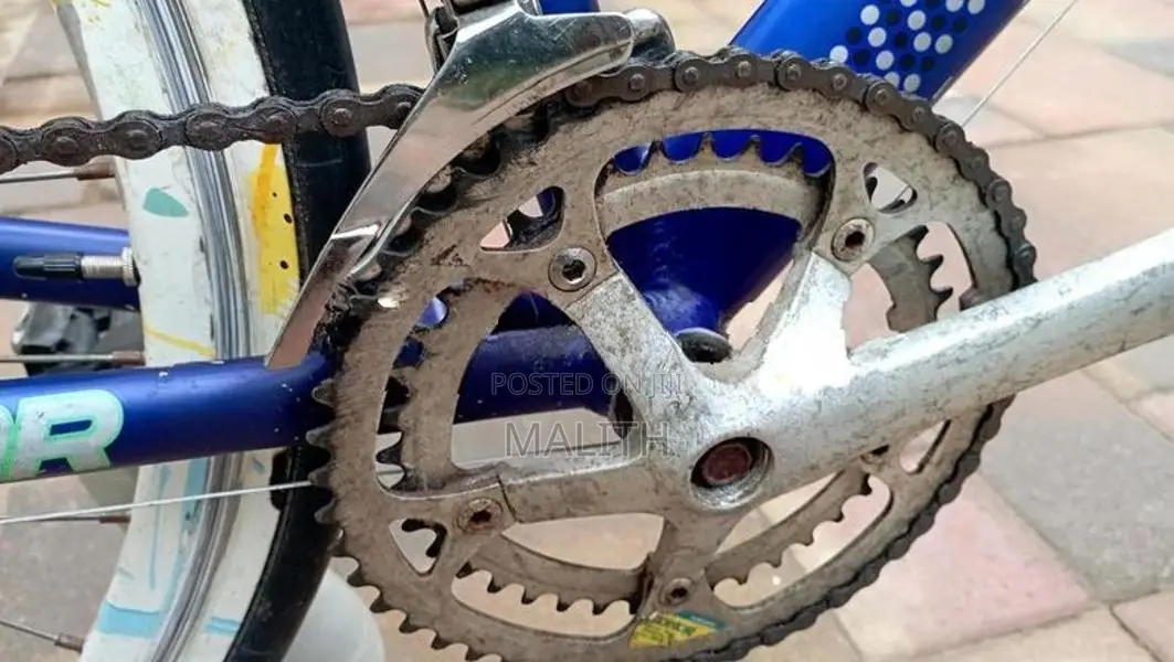 Bicycle
