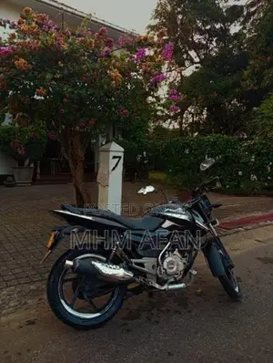 Bajaj Pulsar 150 2015