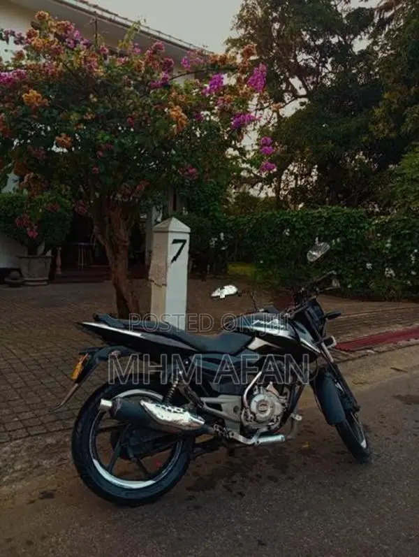 Bajaj Pulsar 150 2015