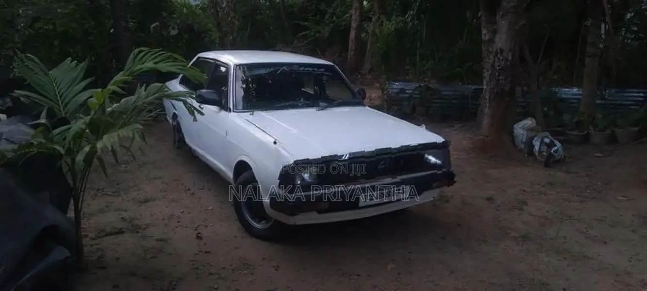 Nissan Sunny B310 1981