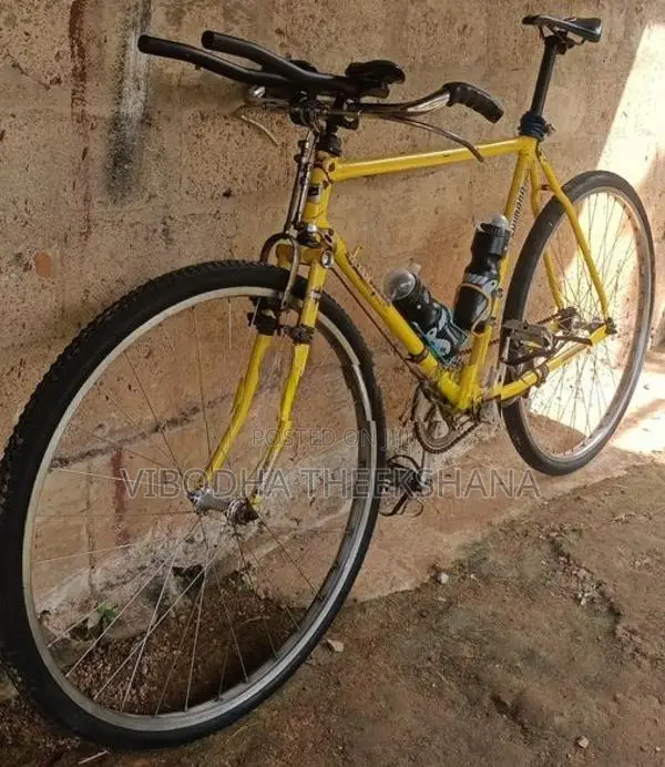 Raleigh Racing Bicycle