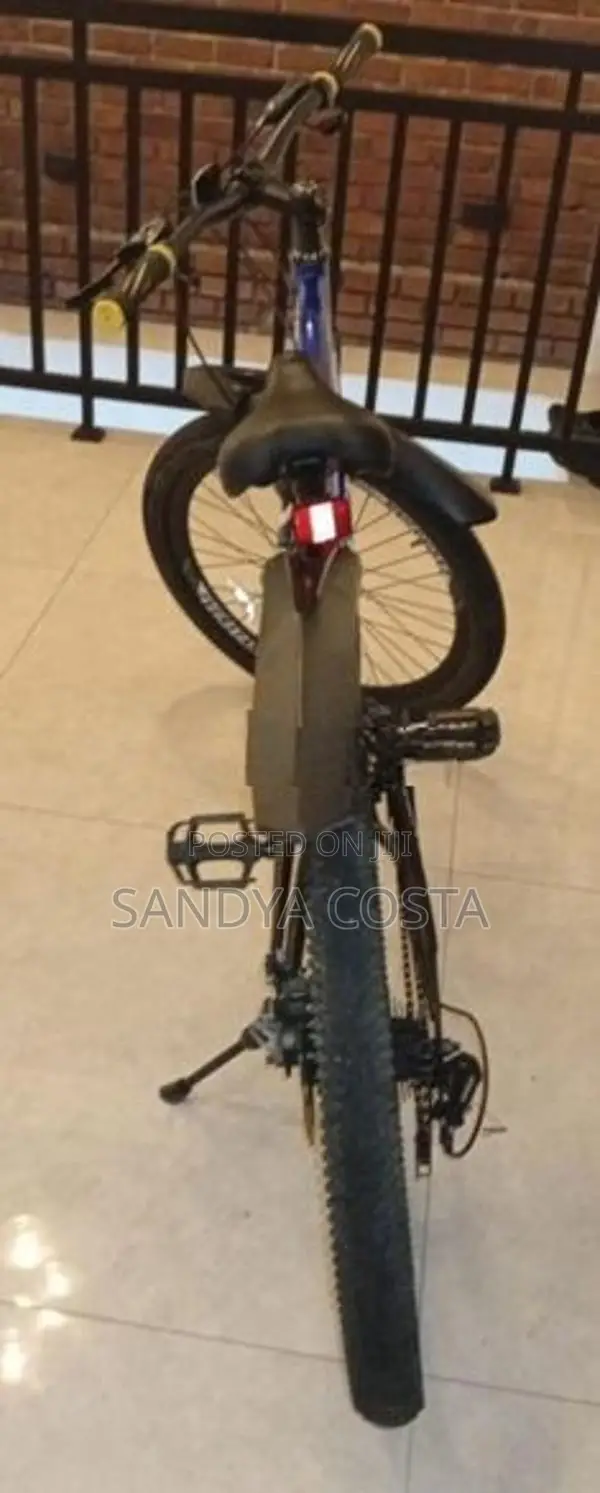 Everstar Bicycle