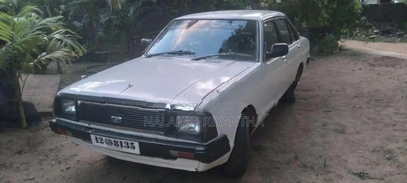Nissan Sunny B310 1981
