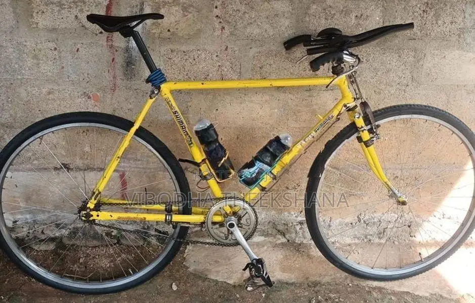 Raleigh Racing Bicycle