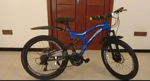Everstar Bicycle