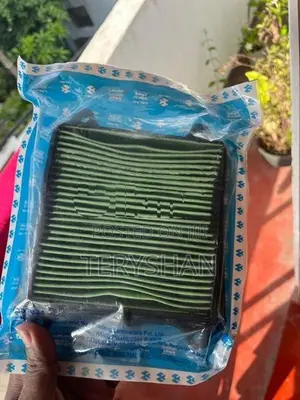 Pulsar Rs200 Filter