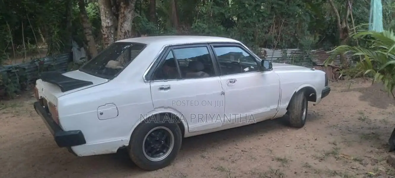 Nissan Sunny B310 1981