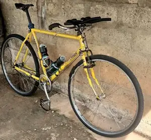 Raleigh Racing Bicycle
