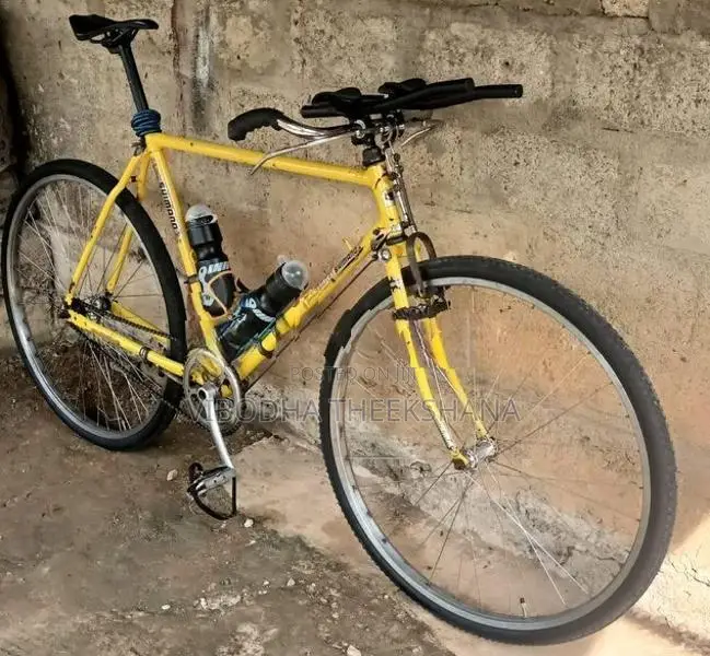 Raleigh Racing Bicycle