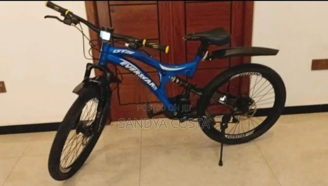 Everstar Bicycle