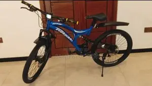 Everstar Bicycle