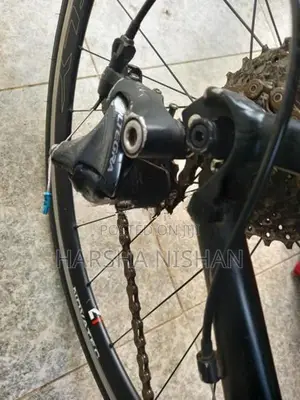 Cello Bicycle