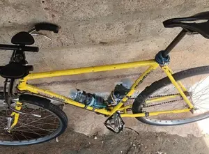 Raleigh Racing Bicycle
