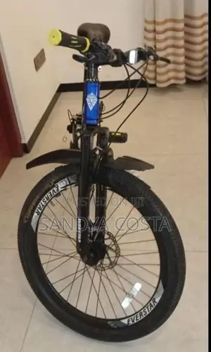 Everstar Bicycle