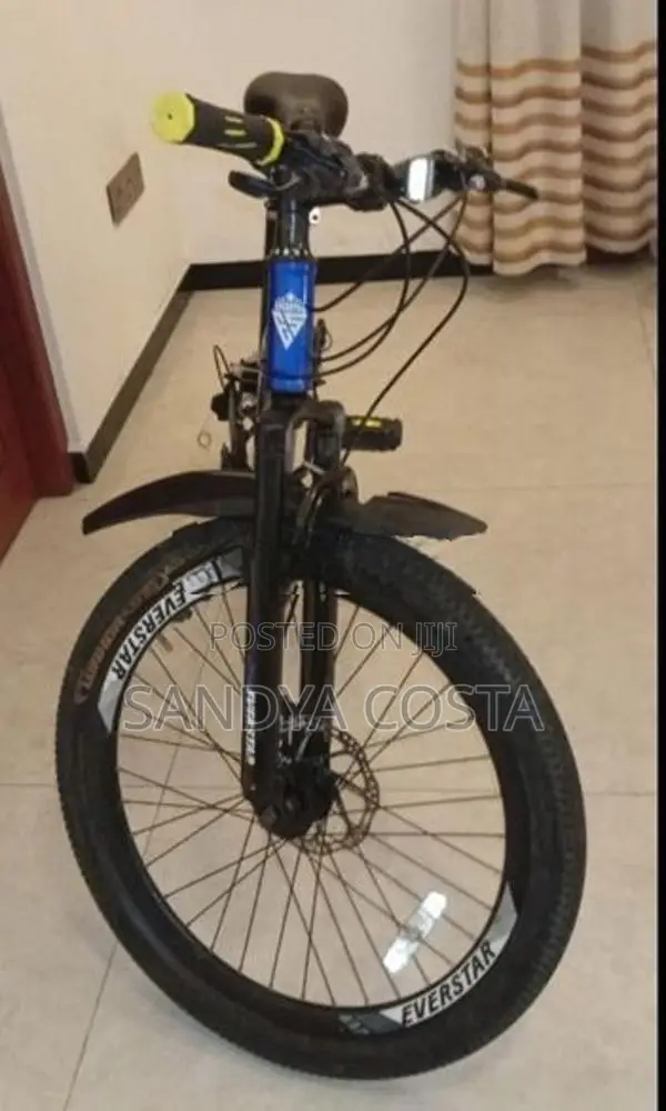 Everstar Bicycle