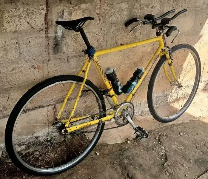 Raleigh Racing Bicycle
