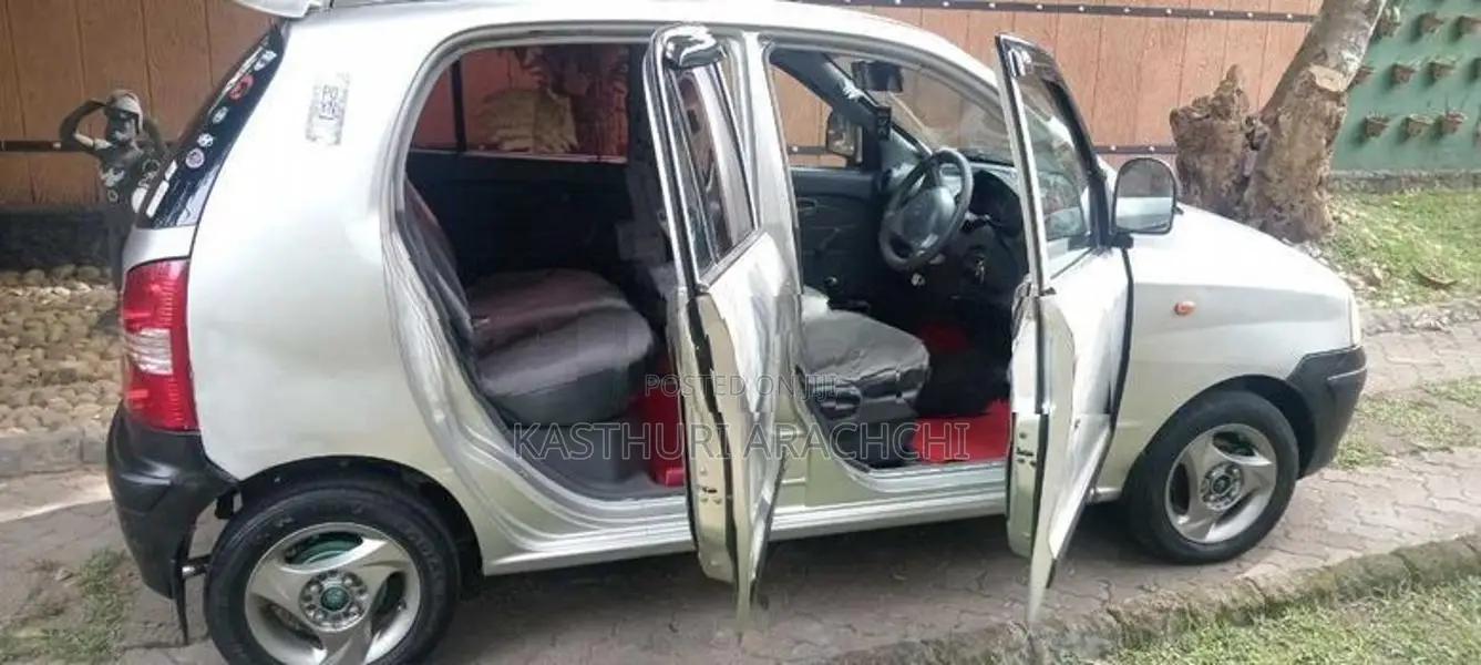 Hyundai Santro Xing 2007