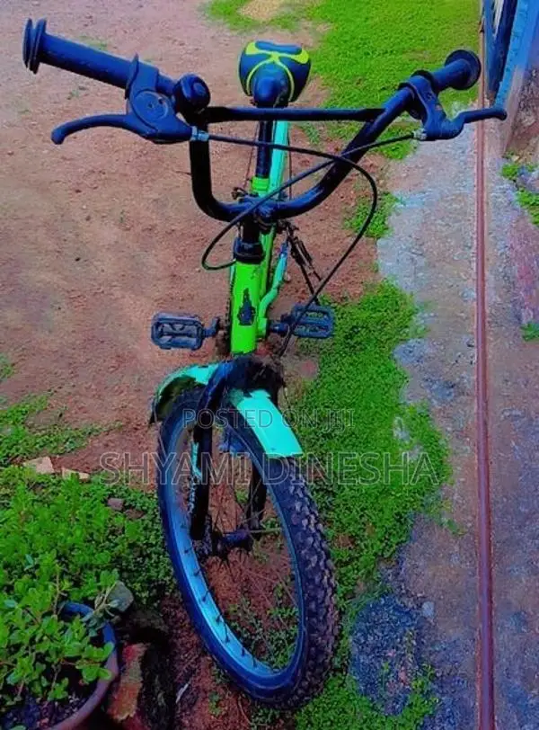 Bicycle