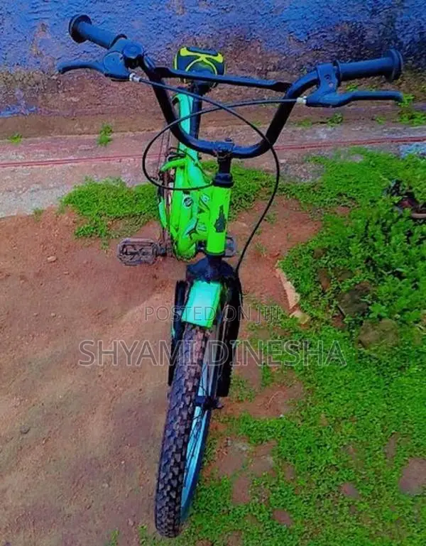 Bicycle