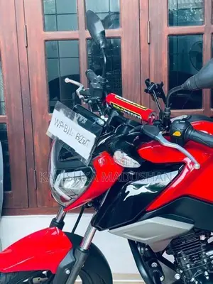 TVS Raider 125 2024