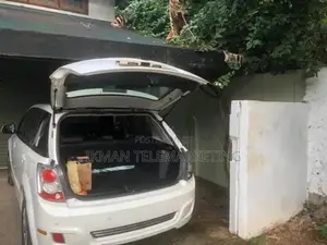 BYD e6 2017