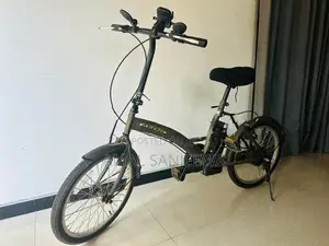 Electric Bicycle