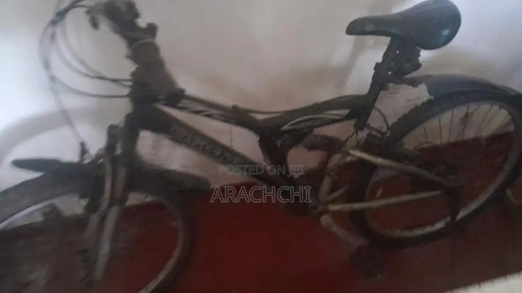 DSI Mountain Bicycle