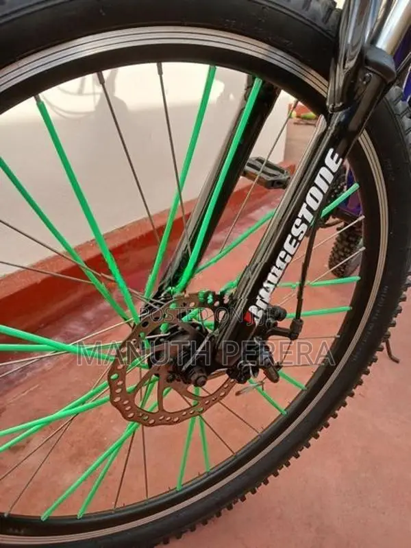 DSI Mountain Bicycle