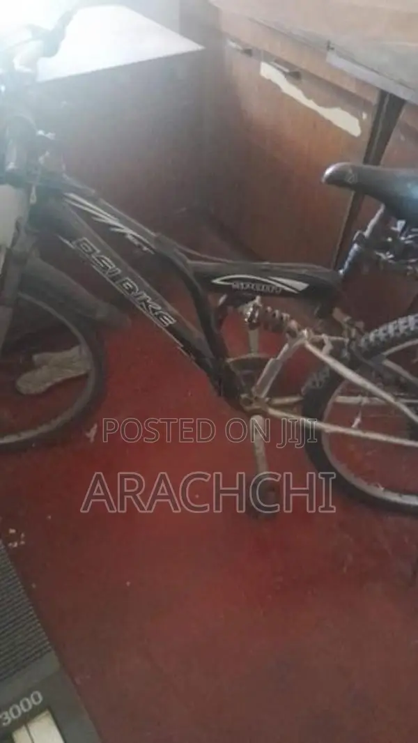 DSI Mountain Bicycle