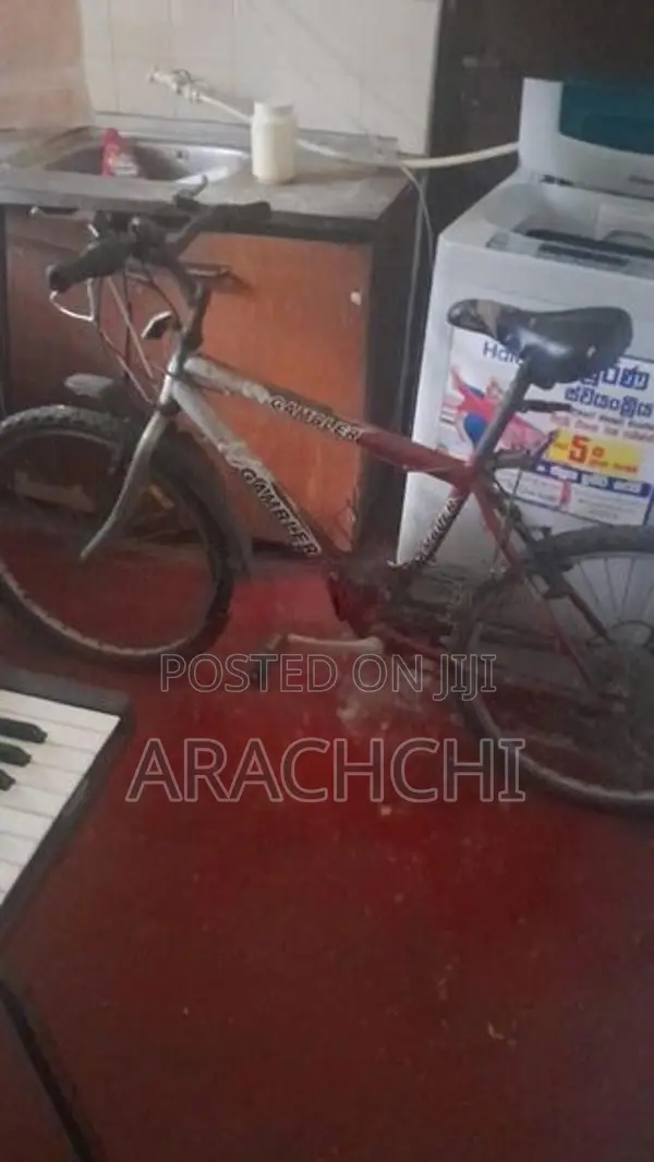 DSI Mountain Bicycle