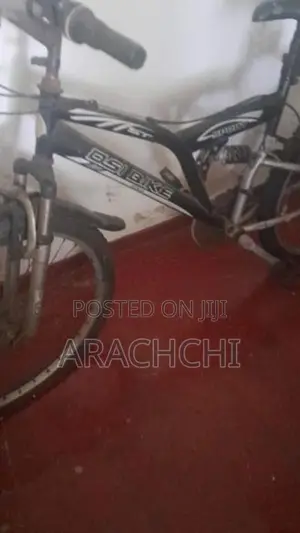 DSI Mountain Bicycle