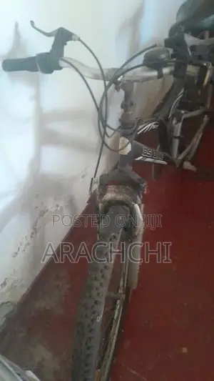 DSI Mountain Bicycle