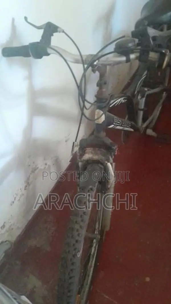 DSI Mountain Bicycle