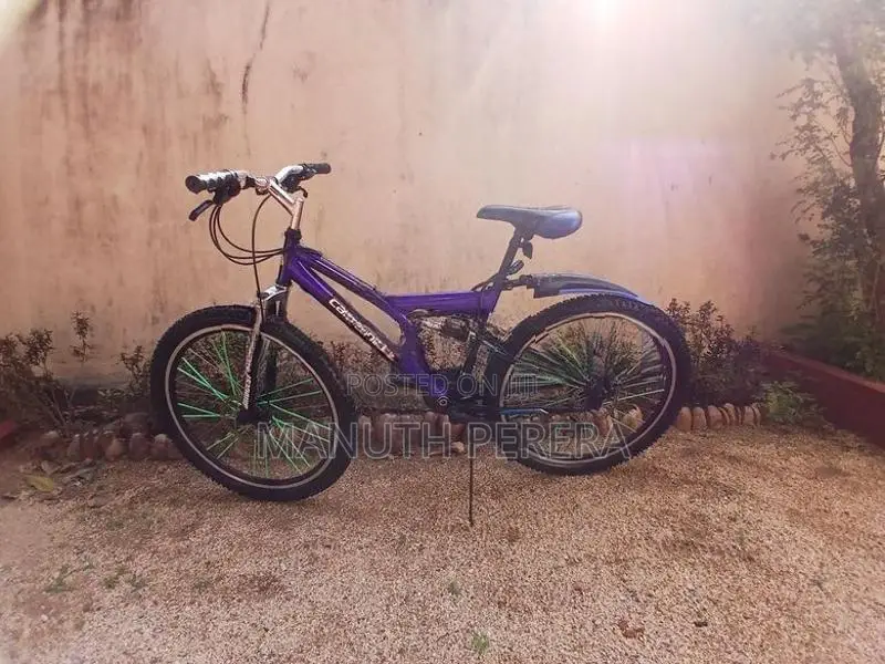 DSI Mountain Bicycle