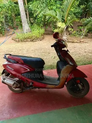 Hero Pleasure 2015