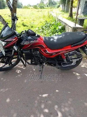 Hero Passion pro 2013