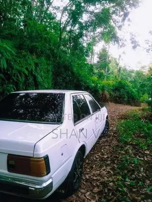 Nissan Sunny 1984