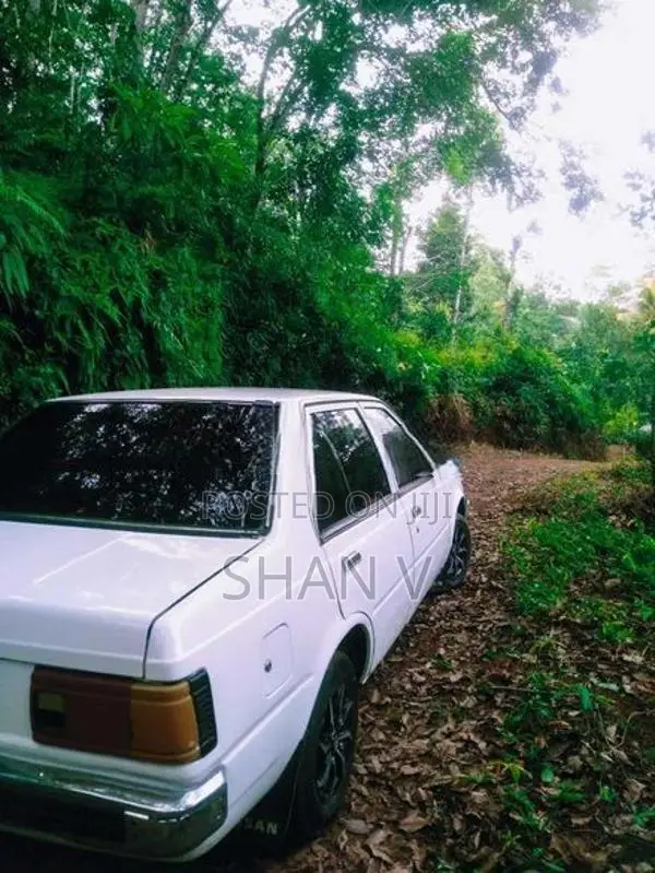 Nissan Sunny 1984
