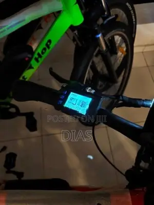 Electric Bicycle E bike