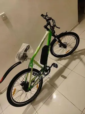 Electric Bicycle E bike