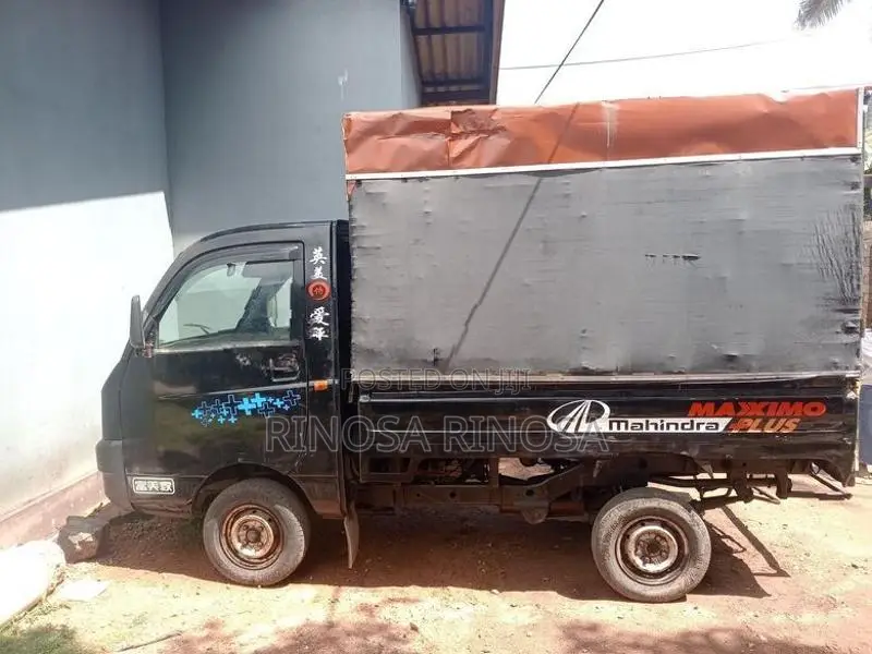 Mahindra Maxximo 2013