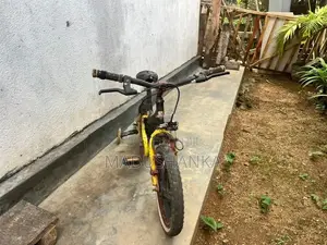 Bicycle Size 13"
