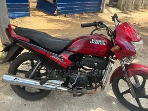 Hero Passion pro 2009