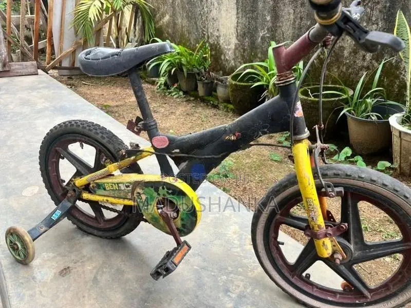 Bicycle Size 13"
