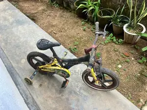 Bicycle Size 13"